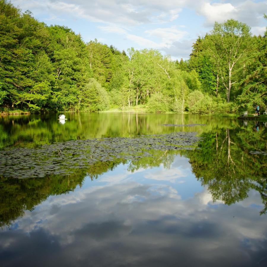 Saint-Nabord Le Crusoe A L'Etang D'Anty - Appartement المظهر الخارجي الصورة